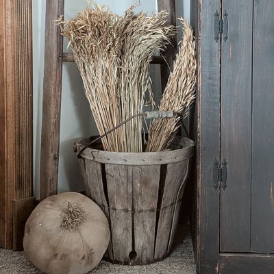 Decorative Dried Wild Oats Bunch