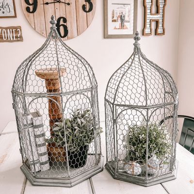 Decorative Simple Iron Bird Cage Set of 2