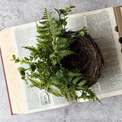 Fern and Boxwood Decorative Bird Nest