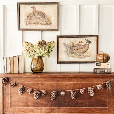 Framed Pheasant Prints Set of 2