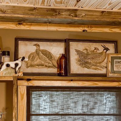 Framed Pheasant Prints Set of 2