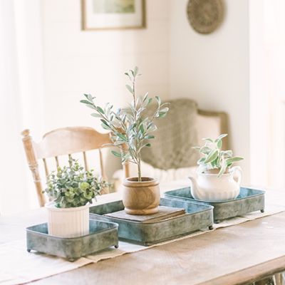 Galvanized Display Tray Collection Set of 3