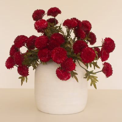 Gathered Ball Dahlia Stem Bundle Set of 6
