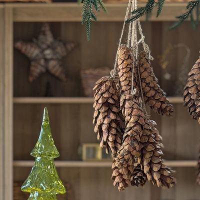 Hanging Pinecone Cluster