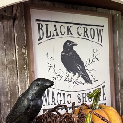 Haunted Crow By Anne Tavoletti Wall Art
