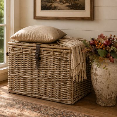 Lidded Storage Basket Trunk