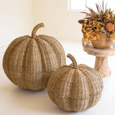 Oversized Woven Vine Pumpkin Set of 2