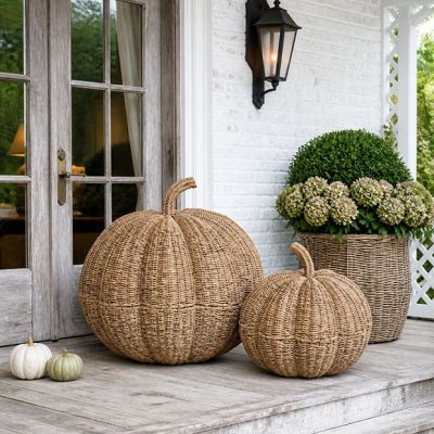 Oversized Woven Vine Pumpkin Set of 2