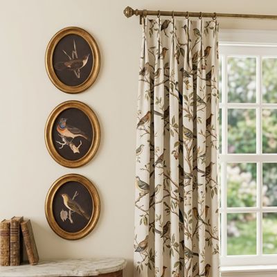 Perched Birds Framed Print Set of 3