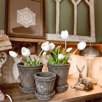 Petite Cement Pots with Saucers Set of 3