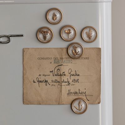Round Botanical Magnets Set of 6