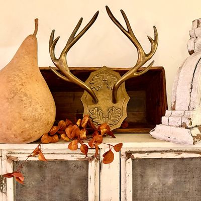 Rustic Woodland Antler Wall Mount Decor 17.5 Inch