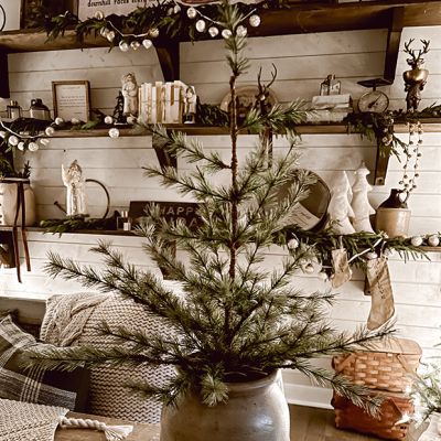Simple Pine With Burlap Wrapped Base