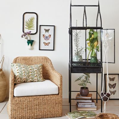 Standing Metal Terrarium Display Case