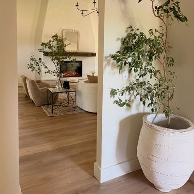 textured-clay-planter-pot