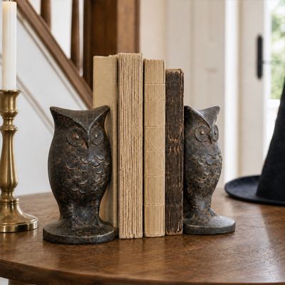 Watchful Owl Cast Iron Bookend Set of 2
