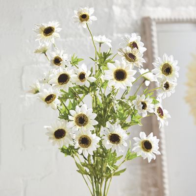 White Black Eyed Susan Floral Spray
