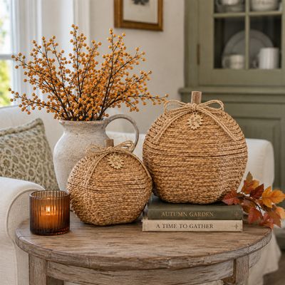 Woven Nesting Pumpkin Basket Set of 2