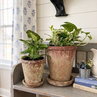 2 Piece Distressed Terra Cotta Planter With Saucer Set of 2