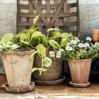 2 Piece Distressed Terra Cotta Planter With Saucer