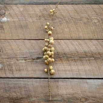 Faux Date Palm Fruit Stem Set of 2