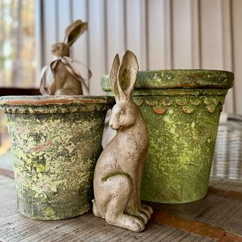Aged Garden Pot 11 Inch