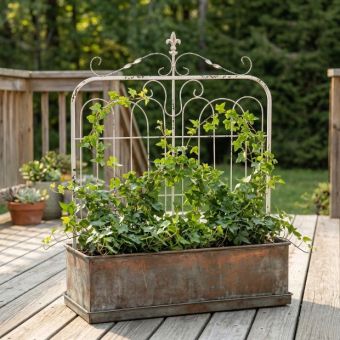 Aged White Metal Garden Gate With Fleur De Lis