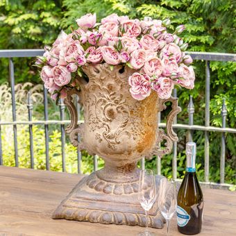 Blush Garden Rose Bundle