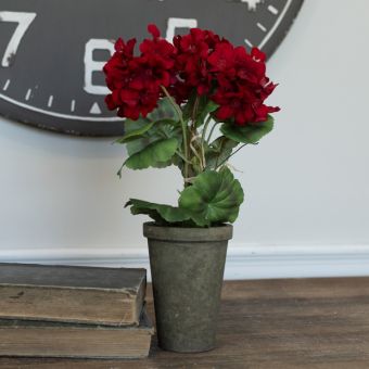 Bright Red Potted Geranium Set of 2