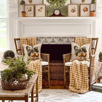 Cane and Rattan Chair