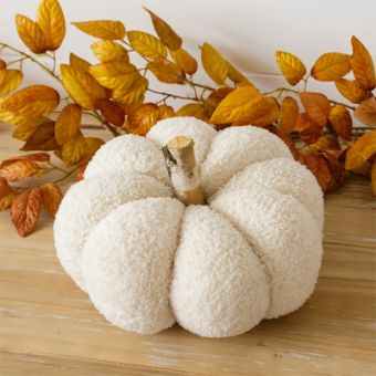 Cozy Cream Pumpkin With Birch Stem
