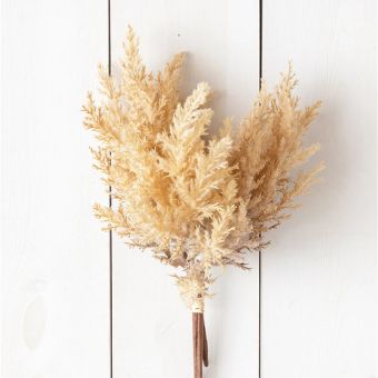 Decorative Plume Bunch