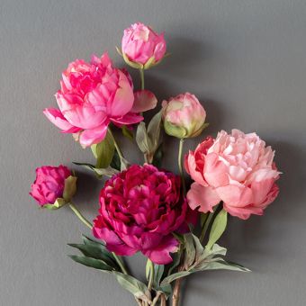 Faux Summer Peony Set of 3
