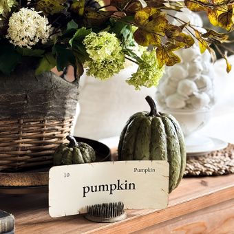 Harvest Accents Olive Green Decorative Pumpkin