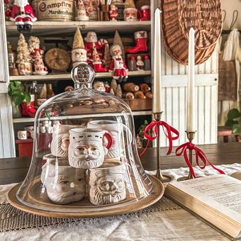 Bell Glass Garden Cloche