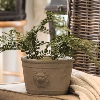 Lion Head Cement Planter