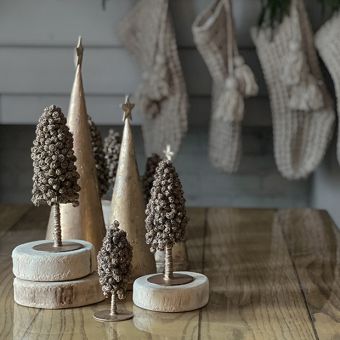 Natural Tree Slices