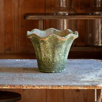 Scalloped Edge Aged Planter Pot