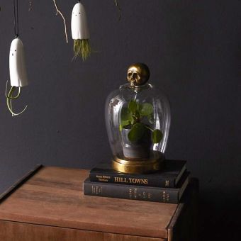 Skull Handled Decorative Glass Cloche