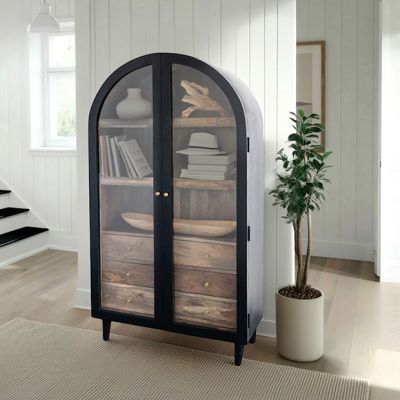 2 Door Arched Cabinet with Shelves and Drawers