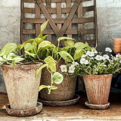 2 Piece Distressed Terra Cotta Planter With Saucer Set of 2