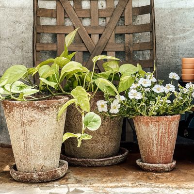 2 Piece Distressed Terra Cotta Planter With Saucer