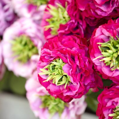3 Stem Shades of Pink Garden Rose Bundle