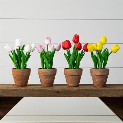 4 Piece Assorted Potted Tulips Collection