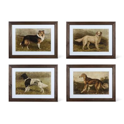 4 Piece Framed Dog Wall Art Collection