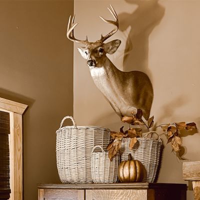 4 Piece Handled Olive Picking Storage Basket Collection