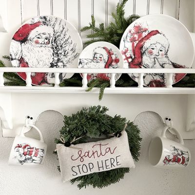 4 Piece Santa Print Plate Set