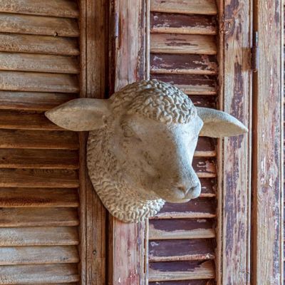 Decorative Weathered Sheep Head Wall Mount