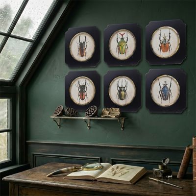 6 Piece Framed Beetle Print Collection