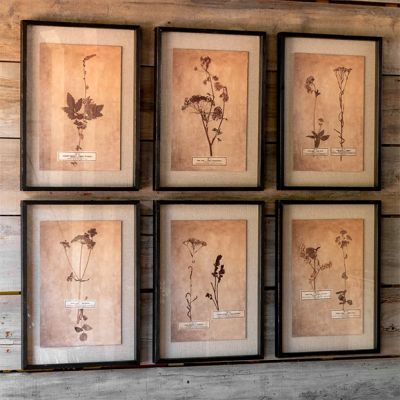 Pressed Botanical Print Set of 6